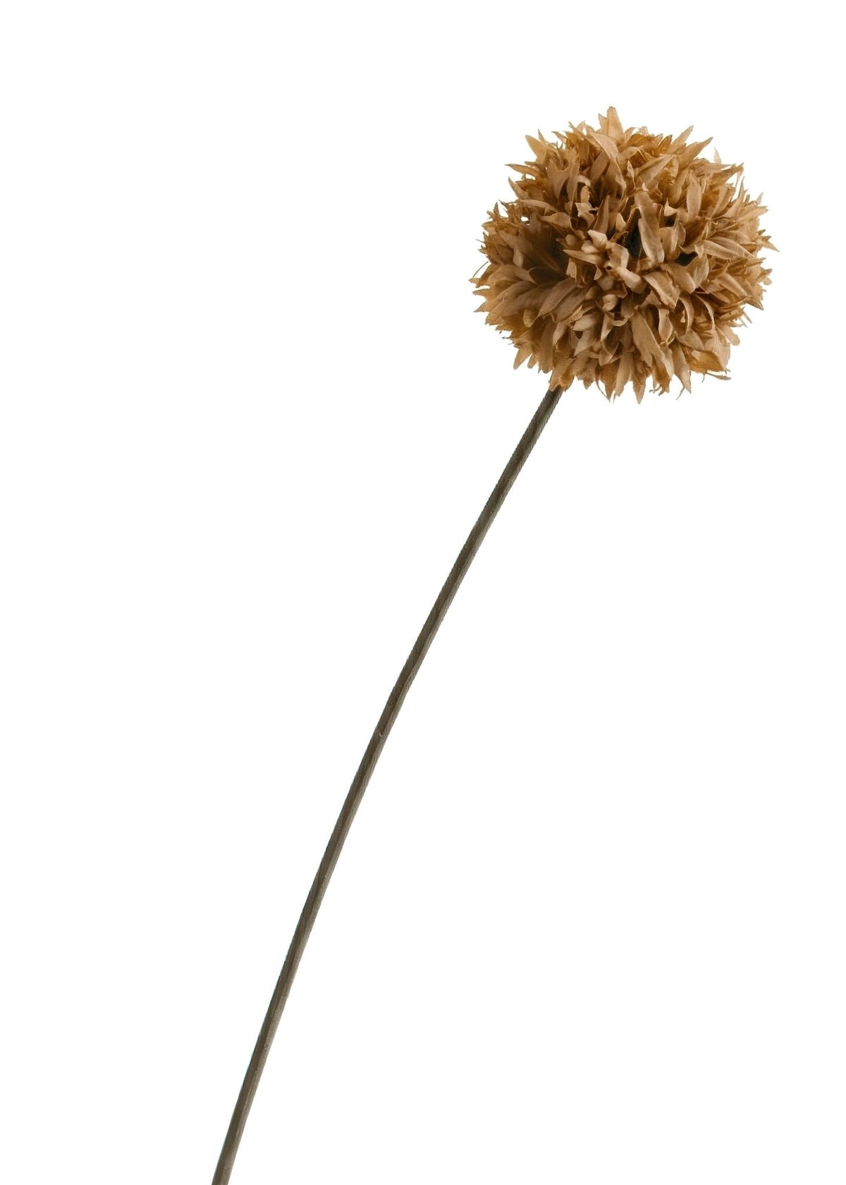 Fleurs Artificiels - Pompons Tiges à l'Unités