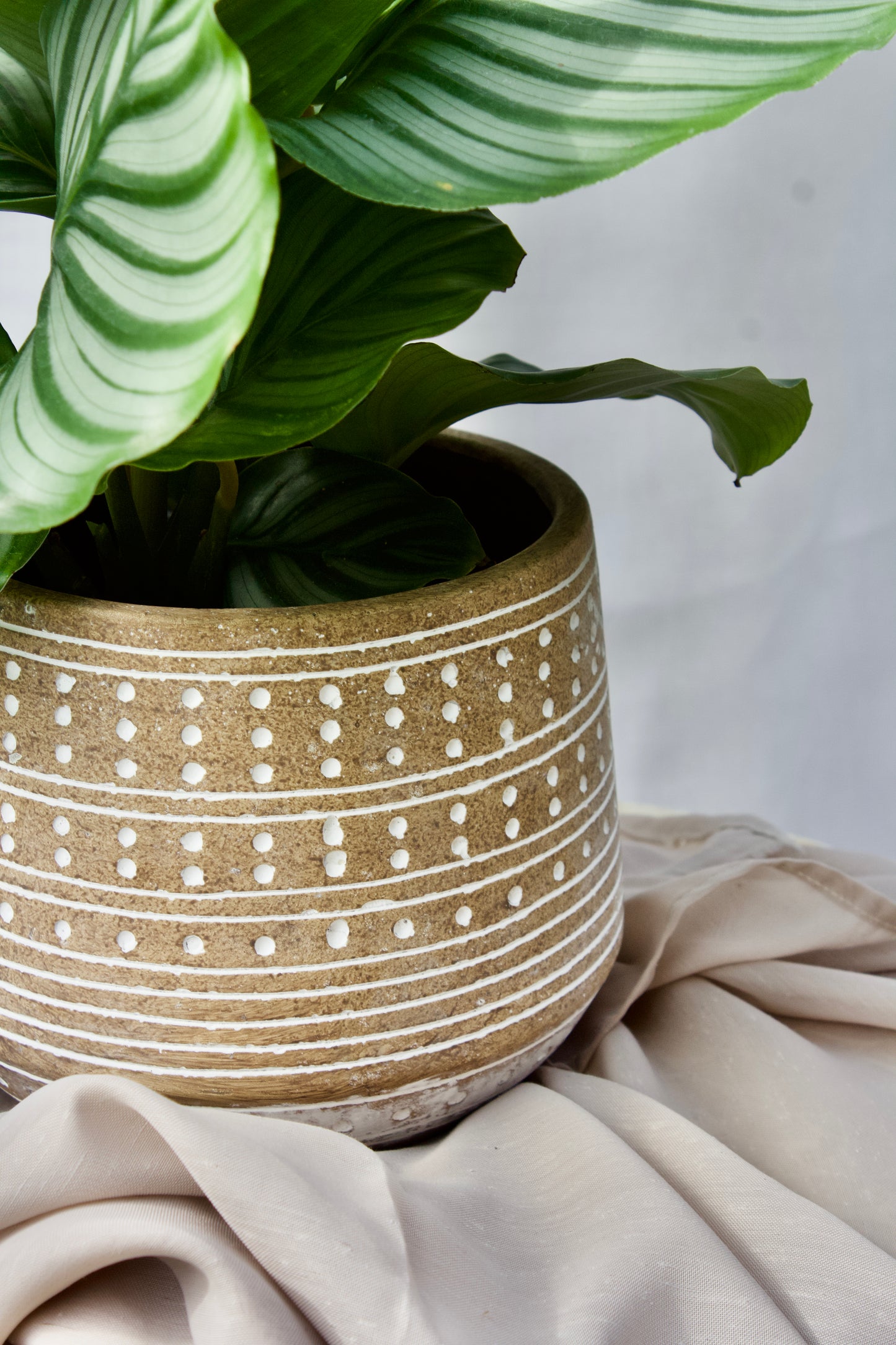 POT MANUZIE G - 6 pouces