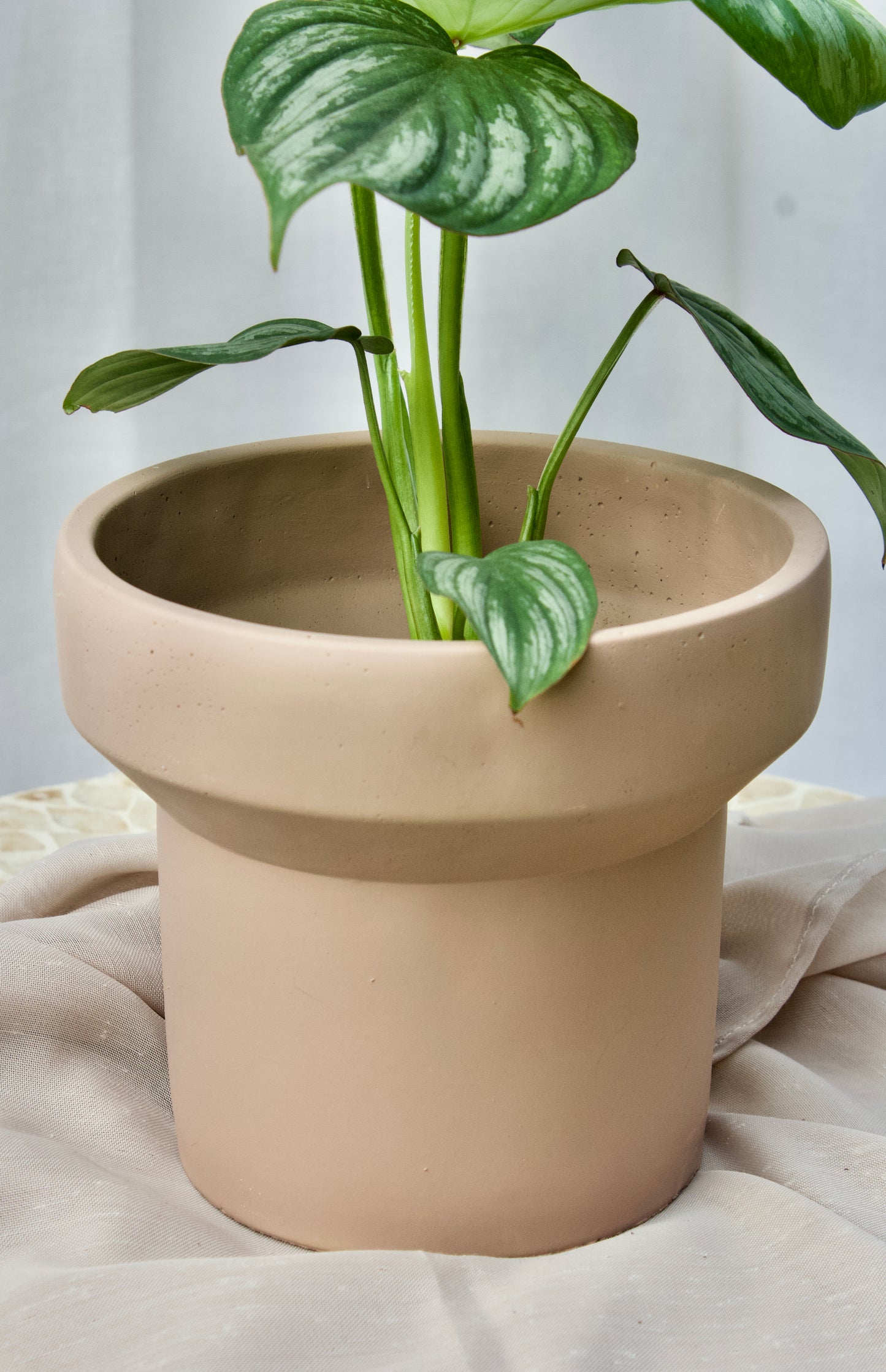 POT BASE ÉTROITE BEIGE - 4 POUCES