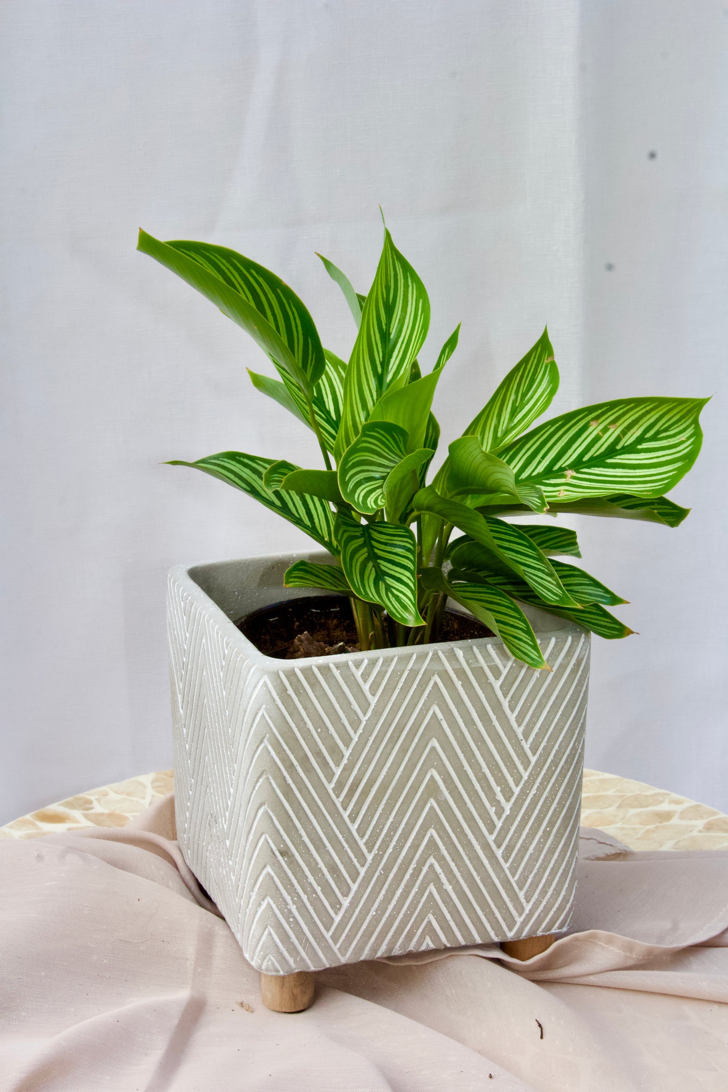 POT CHEVRONS CIMENT - 4 POUCES