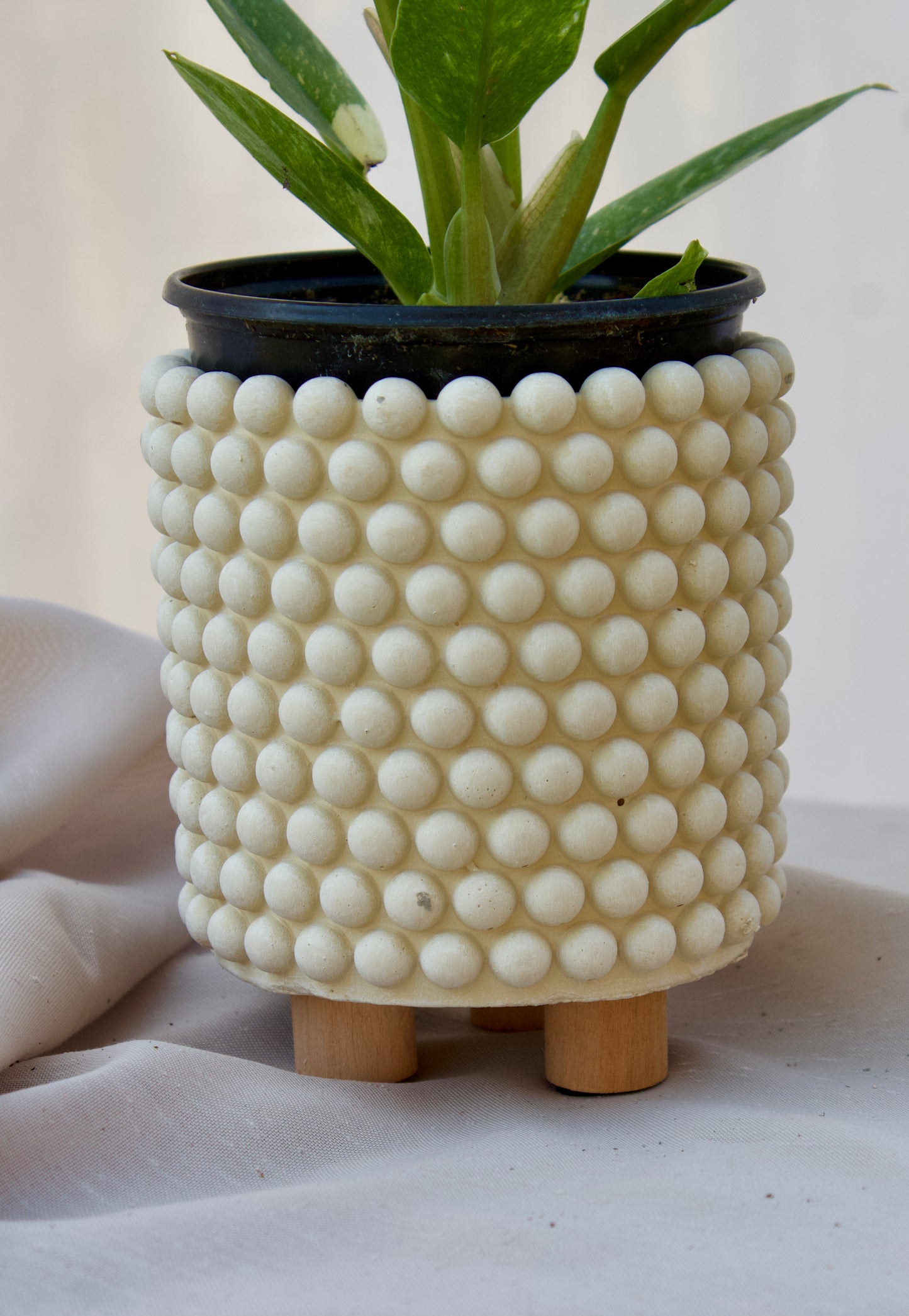 Cache-Pot Beige avec pois - 3 1/2 pouces