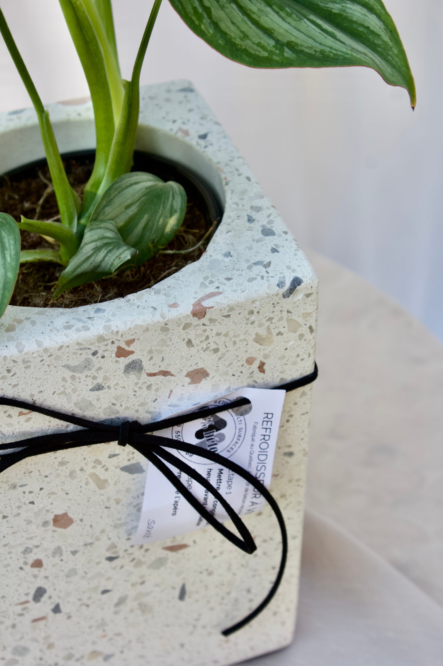 Refroidisseur à vin & pot à plante - TERRAZZO