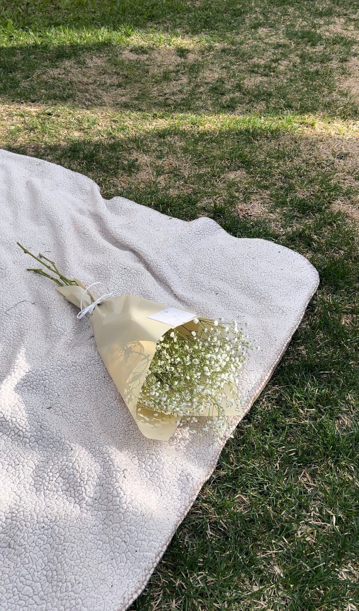 Bouquet lié - Soupir de bébé
