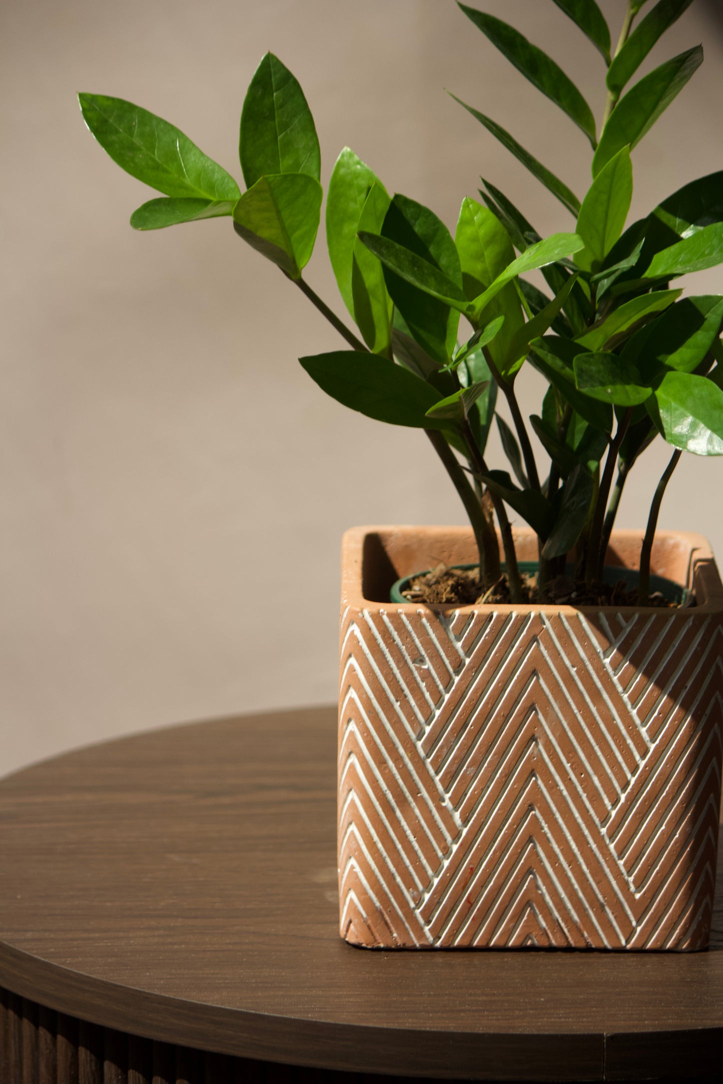 Cache-pot en céramique - Rectangle Terra Cota - 5 pouces
