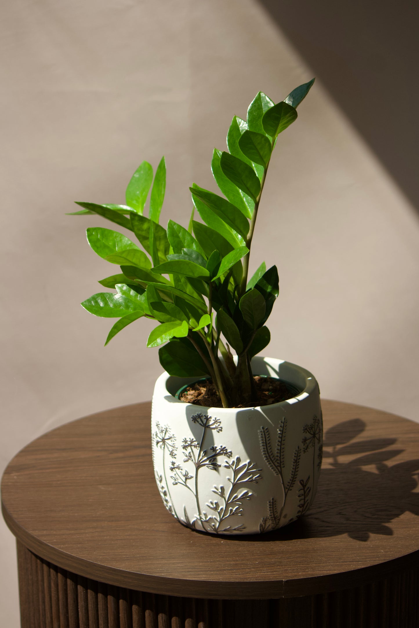 Cache-pot en céramique - Fleurs en relief - 5 pouces
