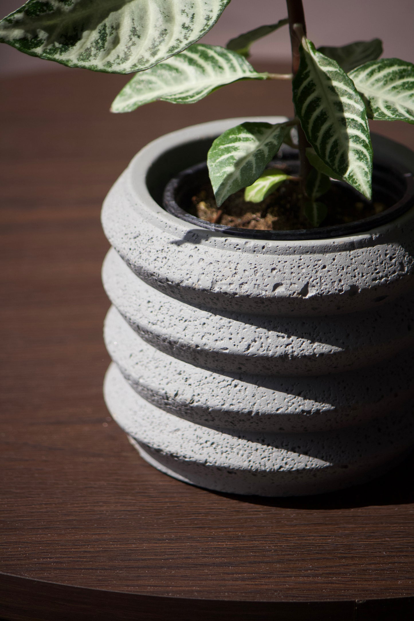 Cache-pot en céramique - Gris à bulles - 3,5 pouces