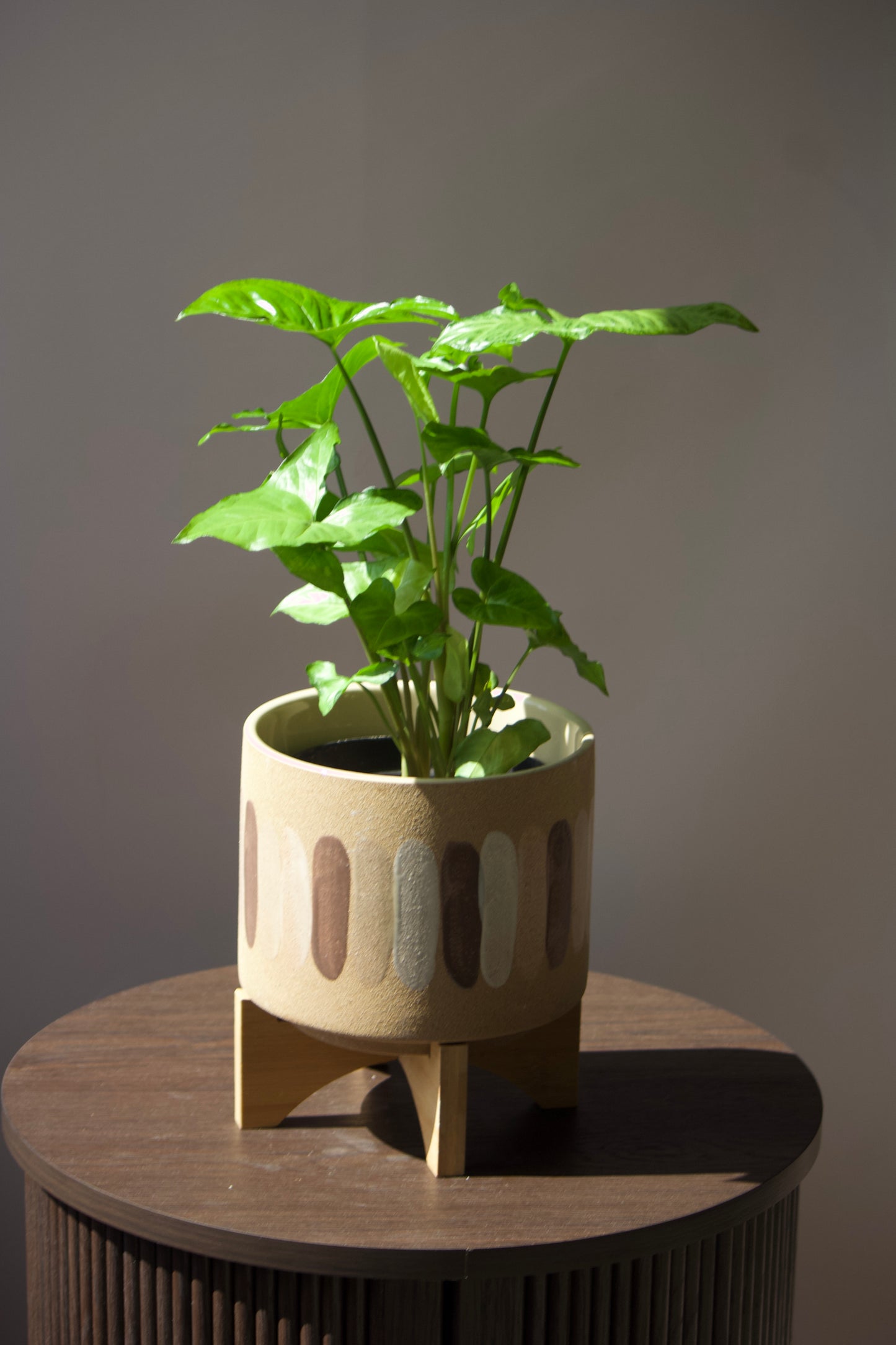 Cache-pot en céramique - Art - 4 pouces