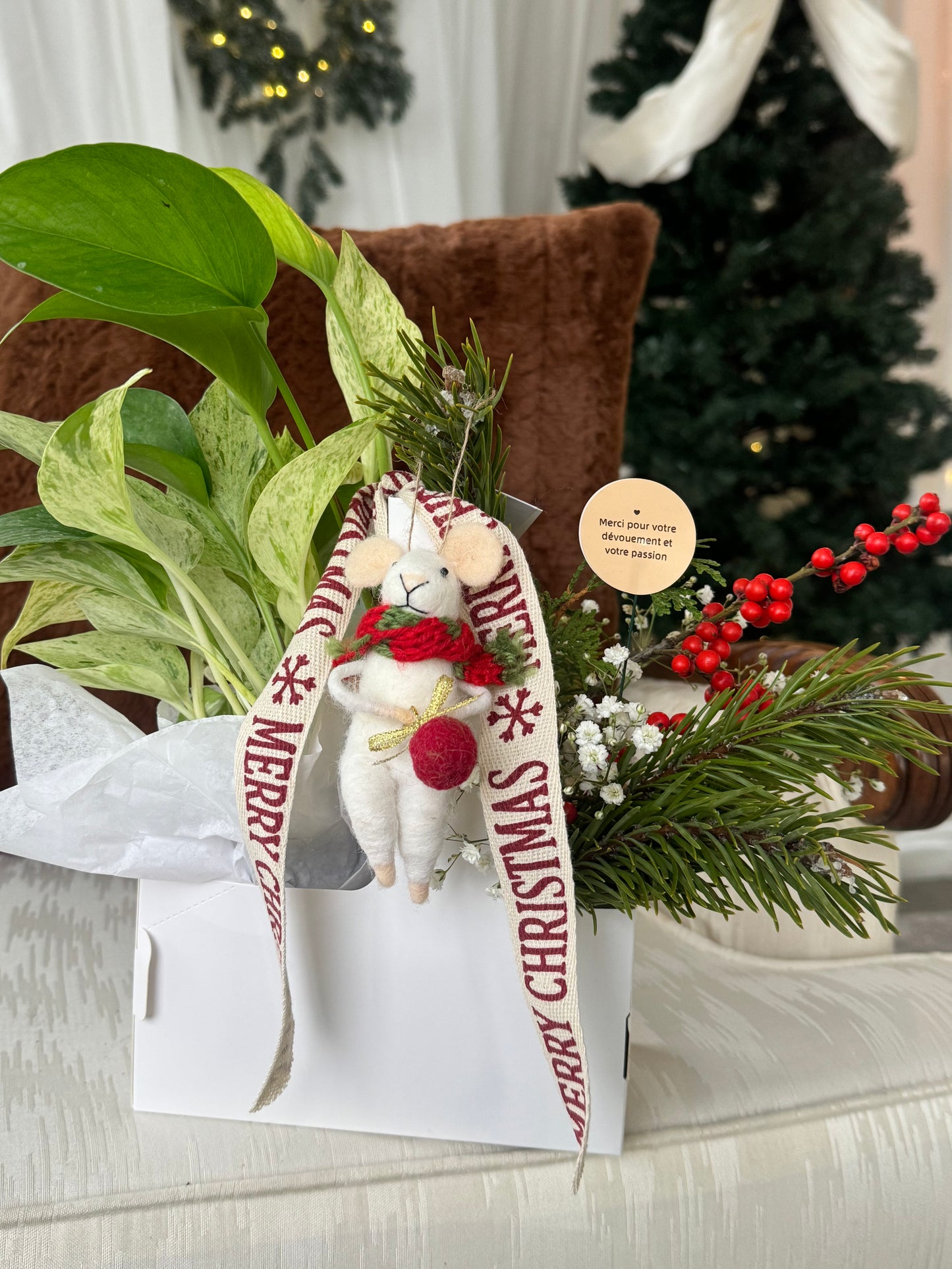 Boite Festive de Noël - plante & souris