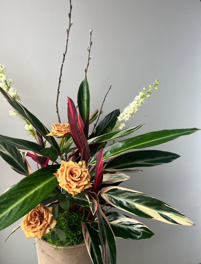 Plante avec insertions de fleurs - Automne