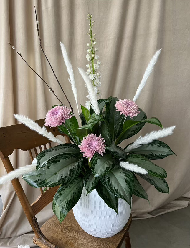 Plante avec insertions de fleurs - Réconfort