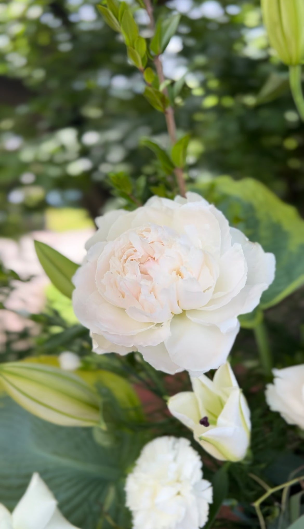 Arrangement floral - douce lumière