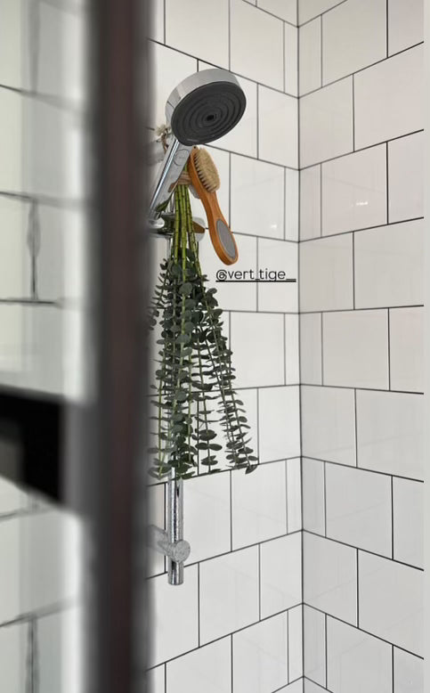 Eucalyptus pour la douche - Promotion du 25 septembre au 28 septembre