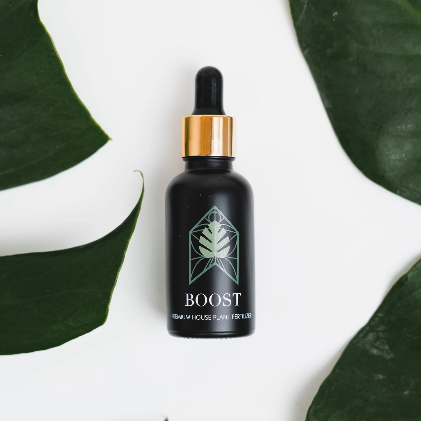 Boost - Engrais Liquide