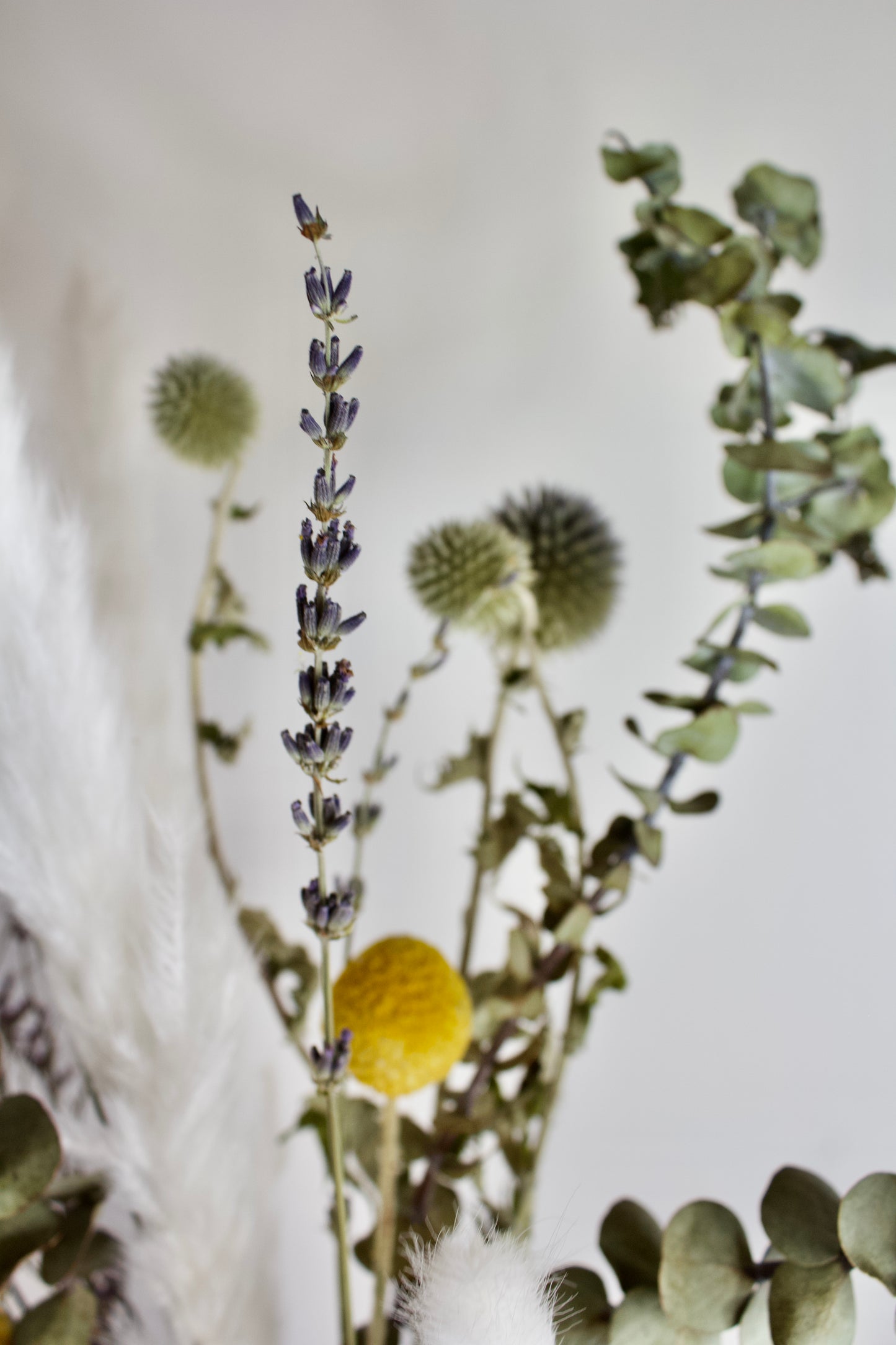 Fleurs pour toujours - Bouquet des champs