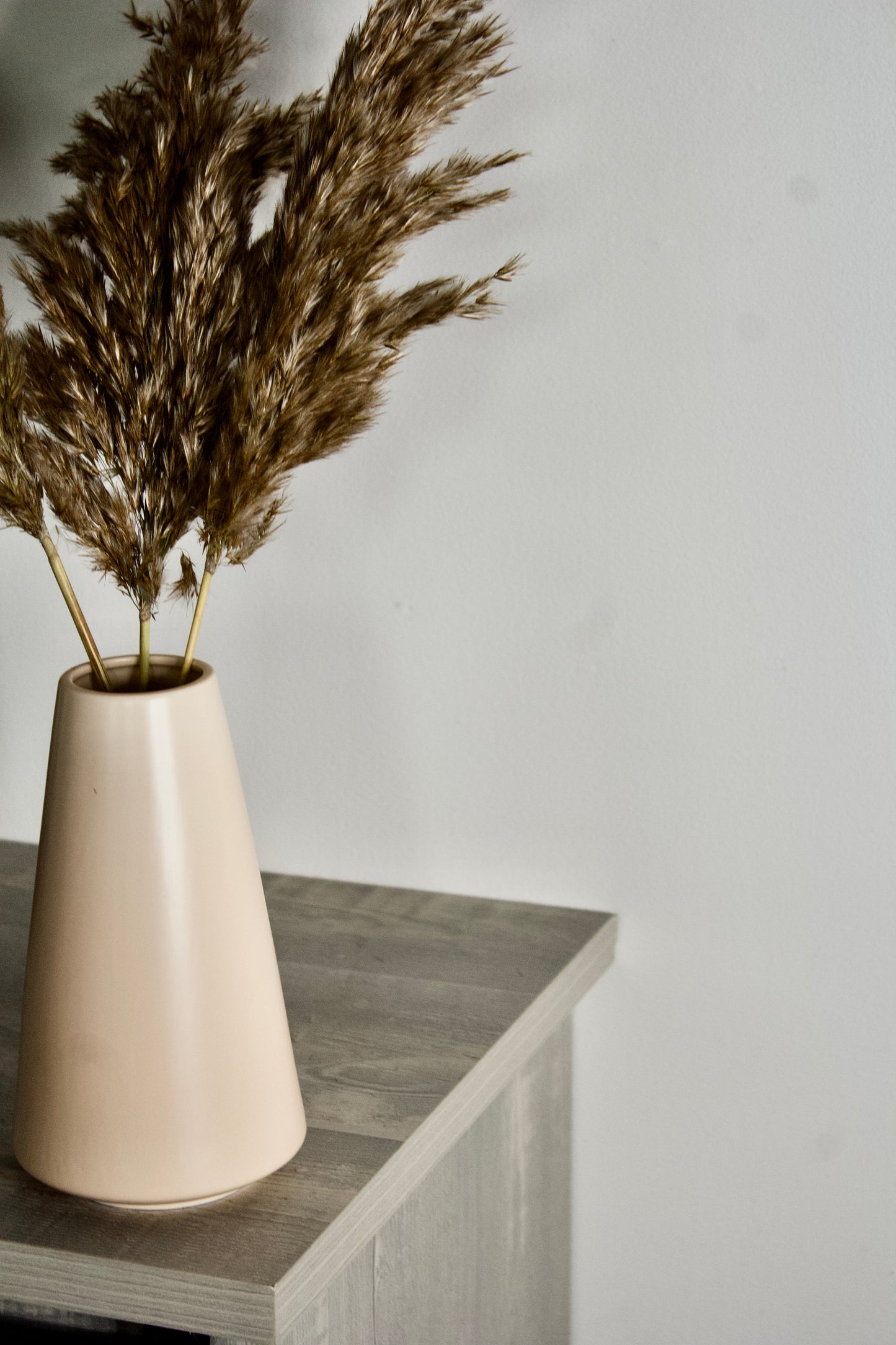 Vase à pampas - Beige