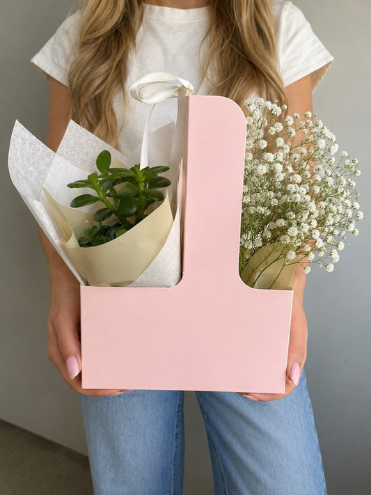 Boite Cadeaux Professeur - Plante verte