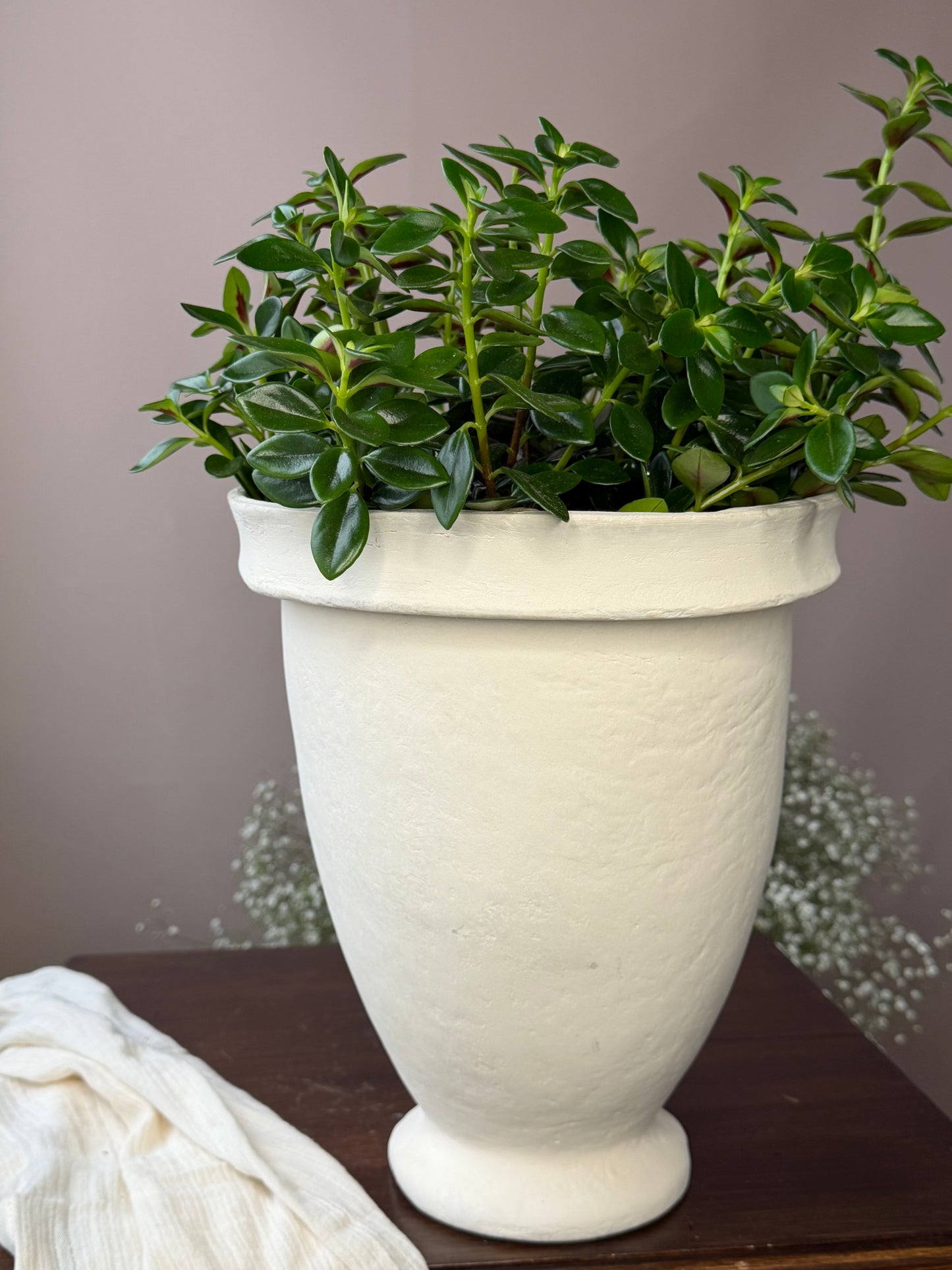 Cache-pot - Antique - 7,5 pouces
