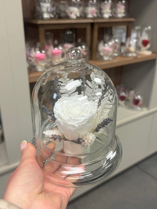 Rose Éternelle Blanche - Choix du fleuriste