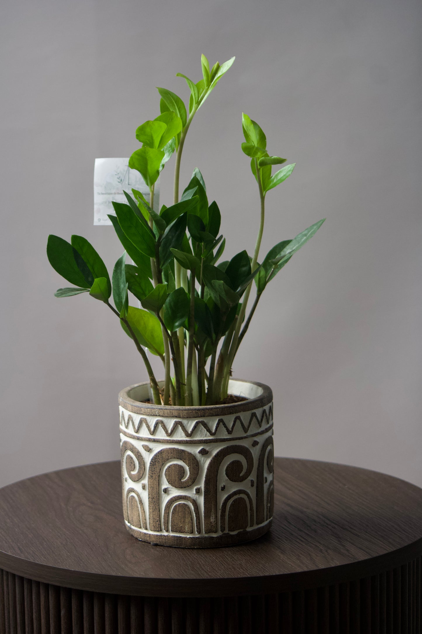 Cache-pot en céramique - Terra - 5 pouces