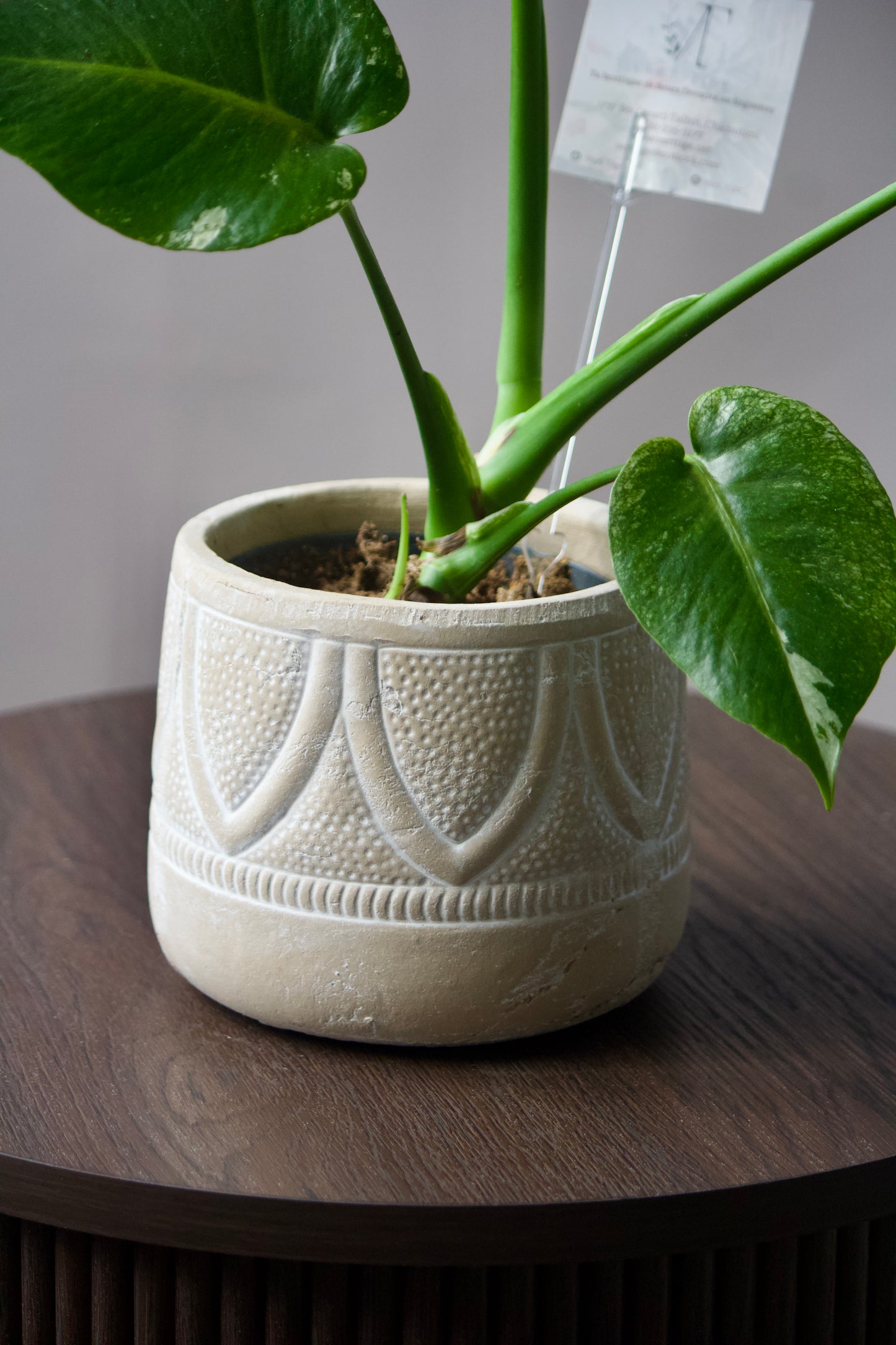 Cache-pot en céramique - Inca - 5 pouces