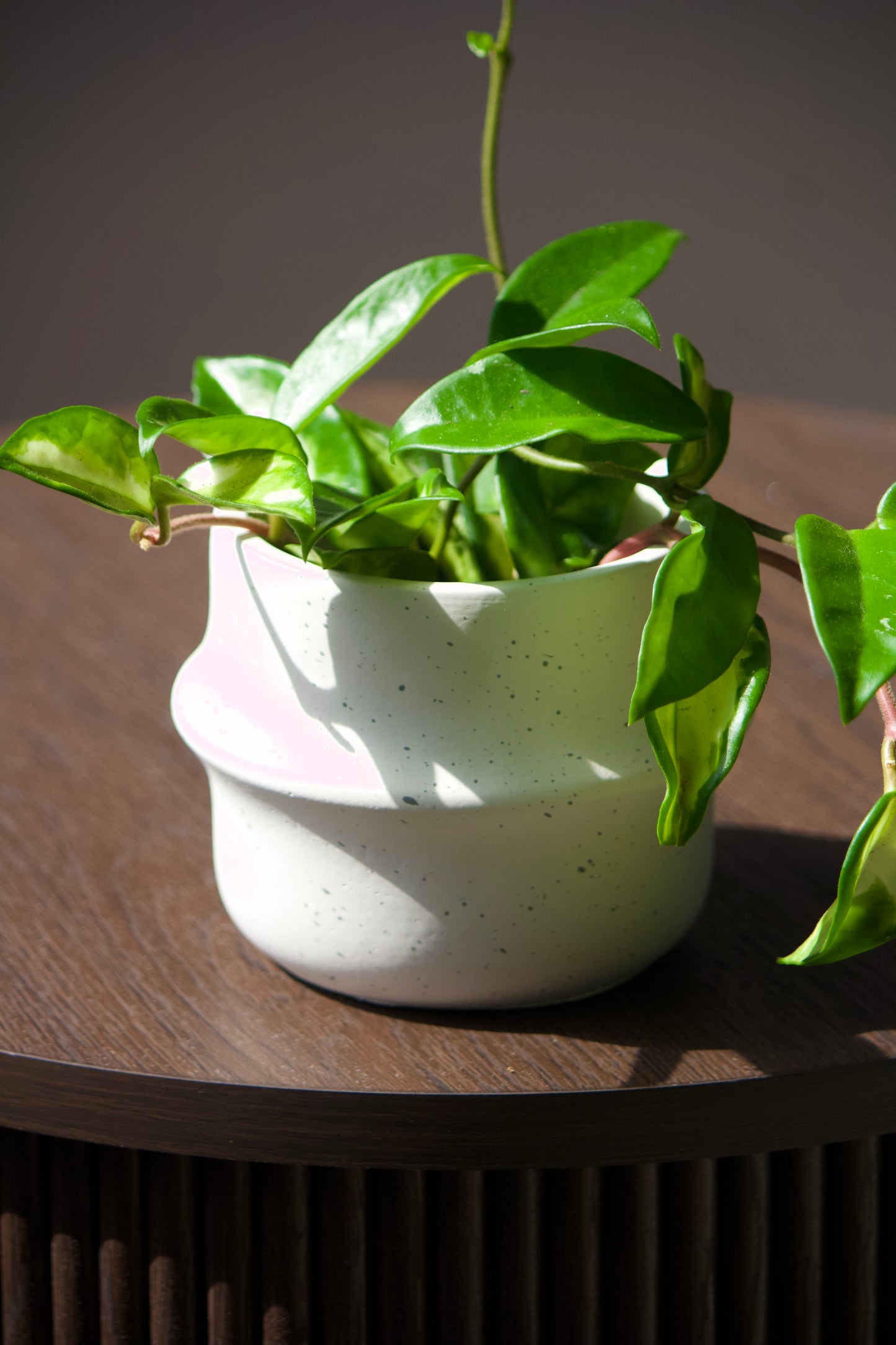 Cache-pot en céramique - Anneau crème - 3,5 pouces