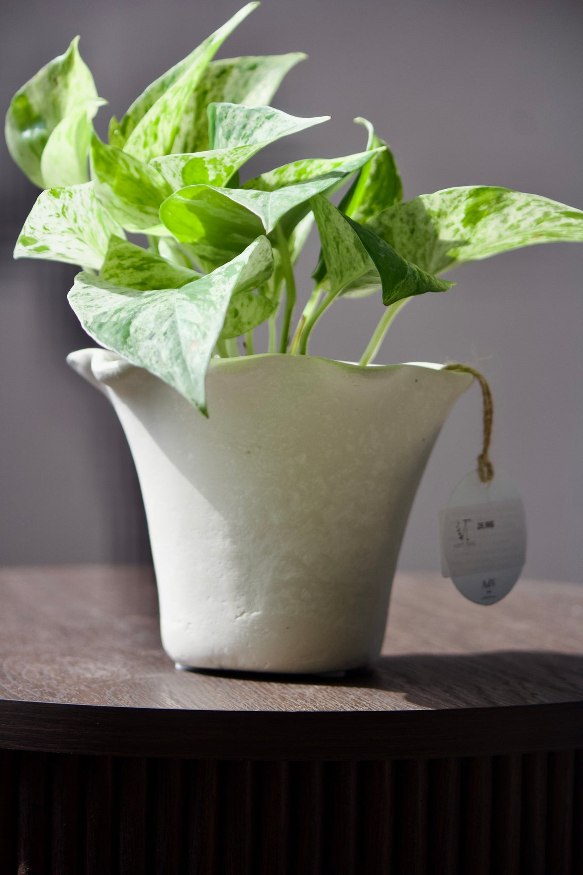 Cache-pot - Artisanal - 4 pouces (Fait à partir de papier recyclé)