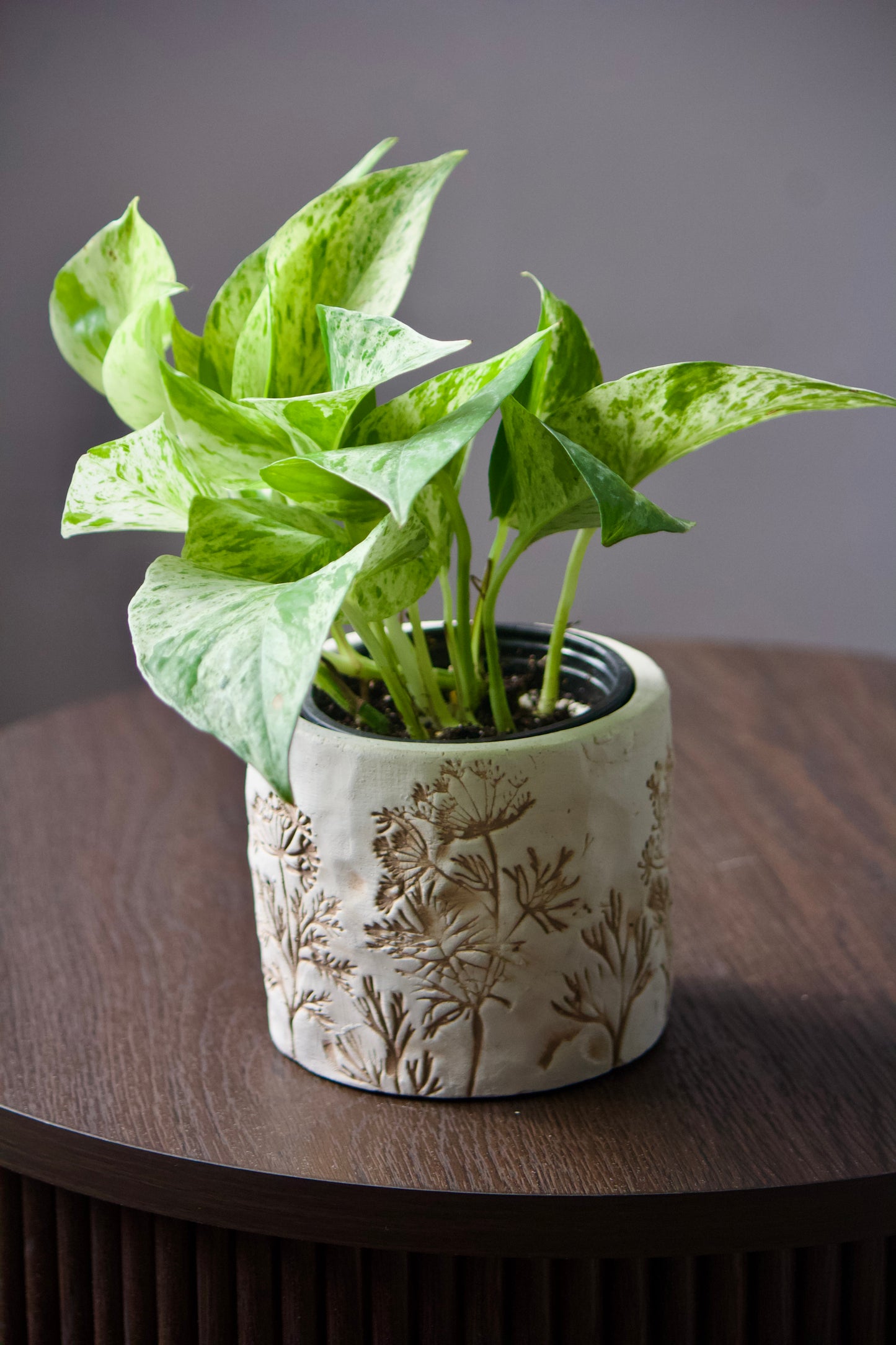 Cache-pot en céramique - Fleur de sel - 3,5 pouces