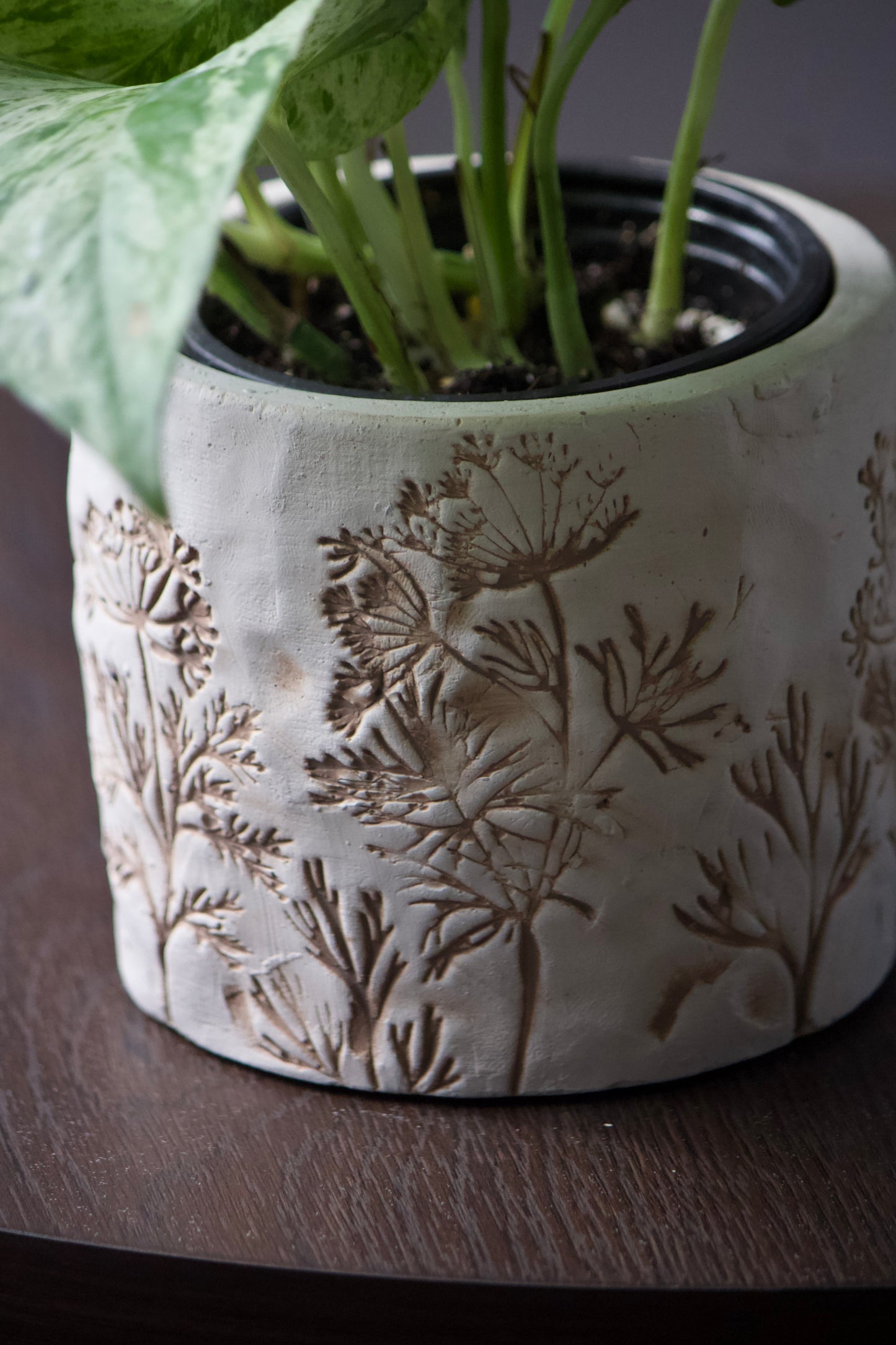 Cache-pot en céramique - Fleur de sel - 3,5 pouces