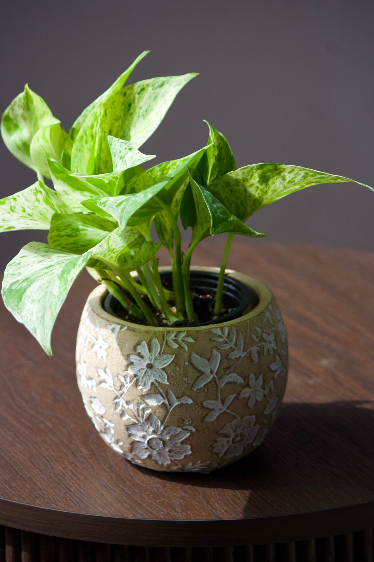 Cache-pot en céramique - fleurs blanches - 3,5 pouces