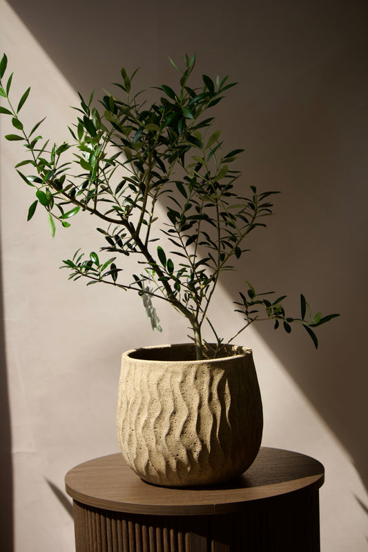 Cache-Pot en céramique - Effet Bois - 8 pouces