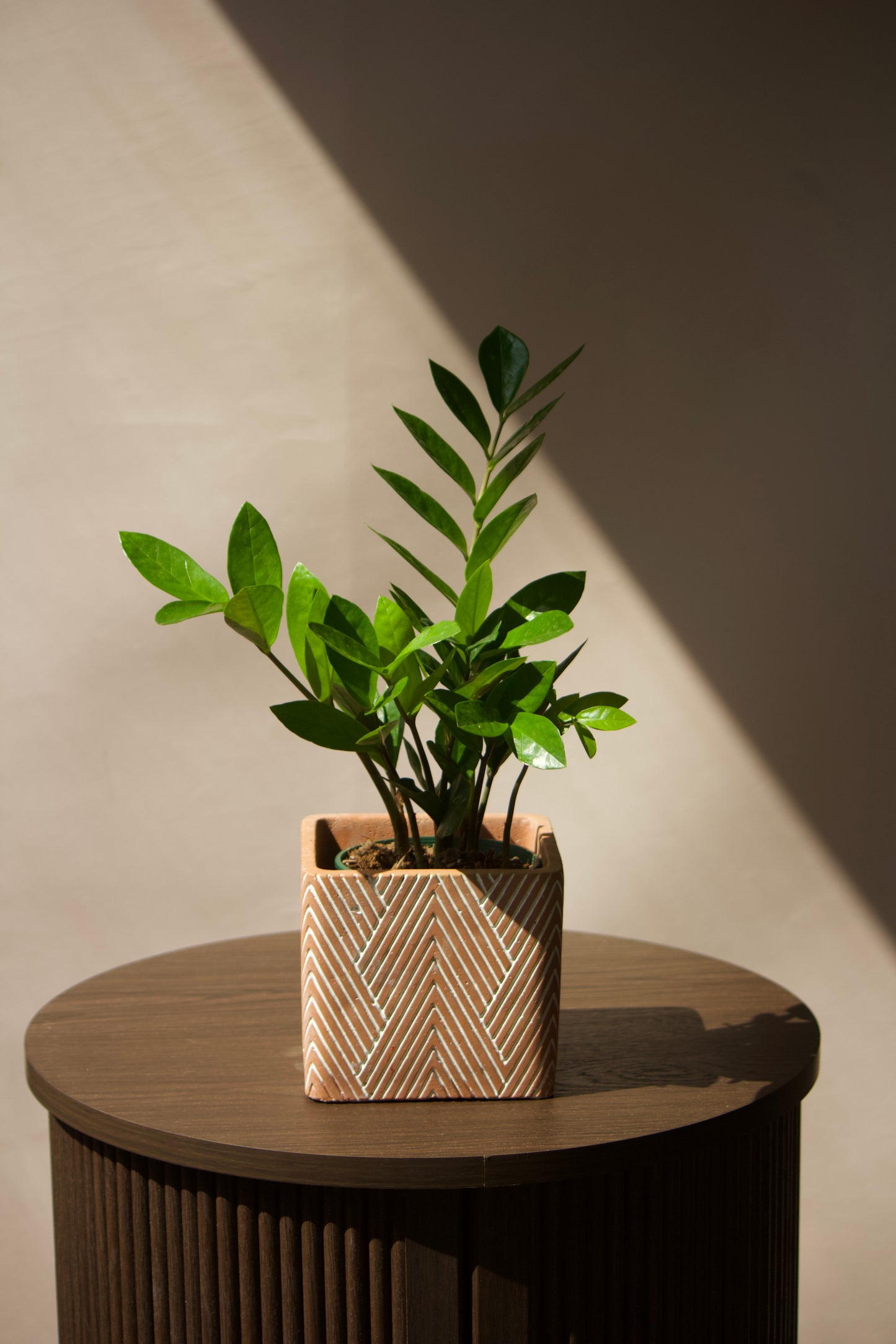 Cache-pot en céramique - Rectangle Terra Cota - 5 pouces