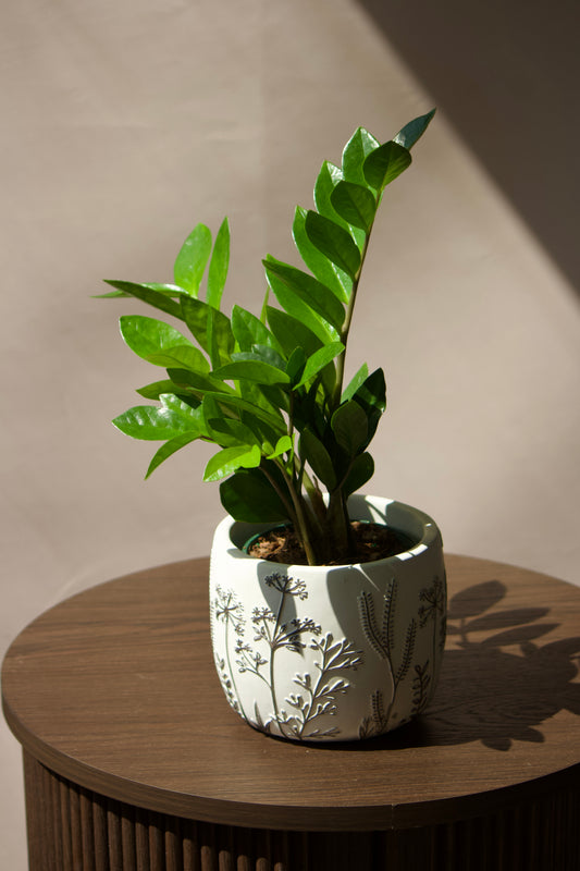 Cache-pot en céramique - Fleurs en relief - 5 pouces