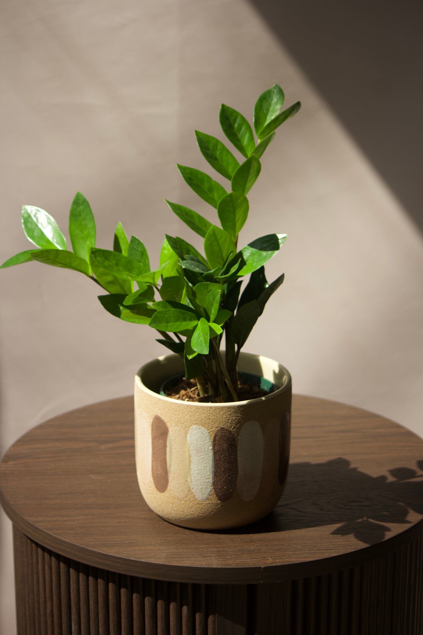 Cache-pot en céramique - Cléa - 5 pouces