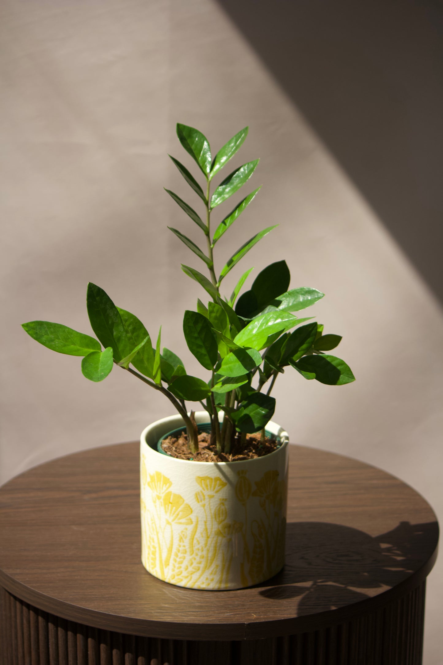 Cache-pot en céramique - Fleurs jaunes - 5 pouces