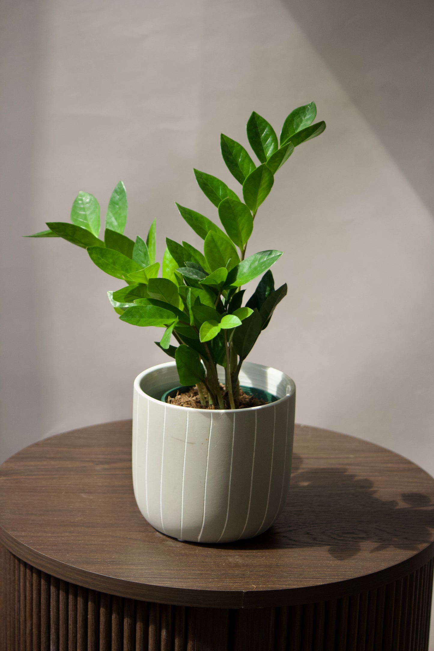 Cache-pot en céramique - Gris avec lignes - 5 pouces