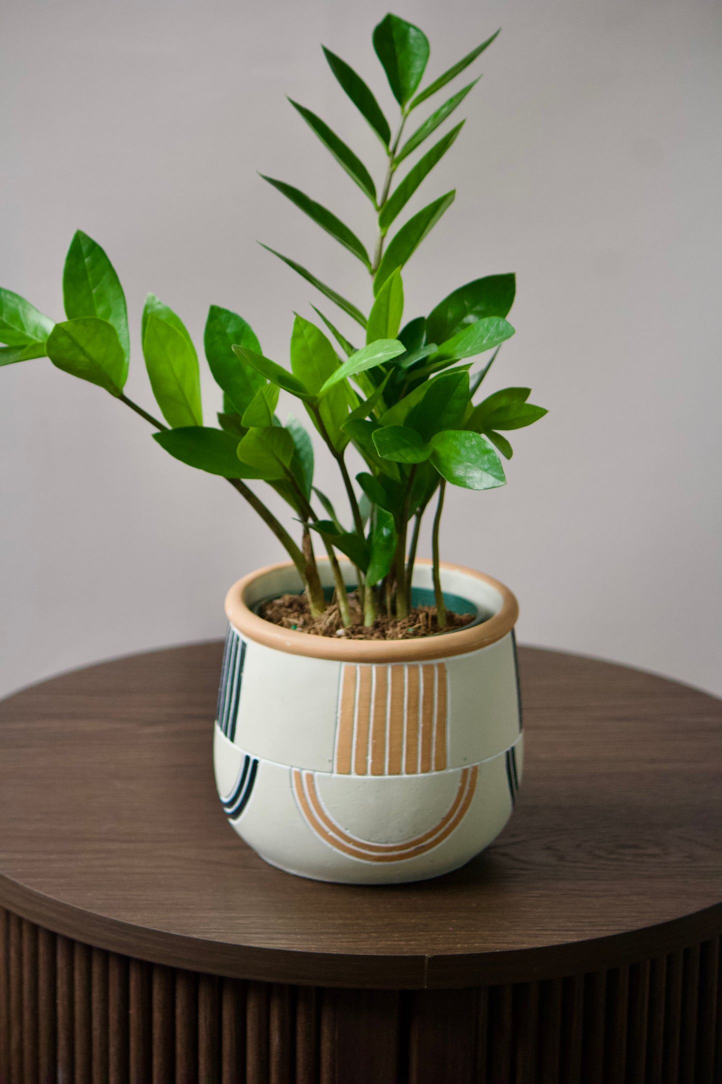 Cache-pot en céramique - Ambre - 5 pouces