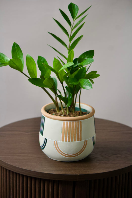 Cache-pot en céramique - Ambre - 5 pouces
