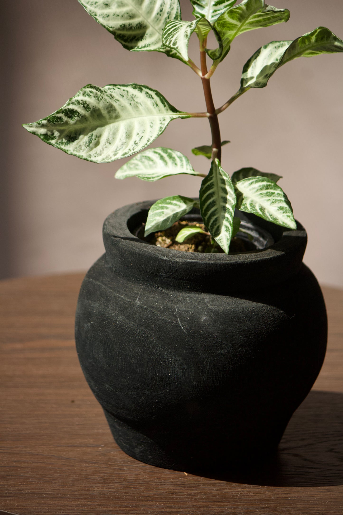 Cache-pot en bois - Noir - 3,5 pouces
