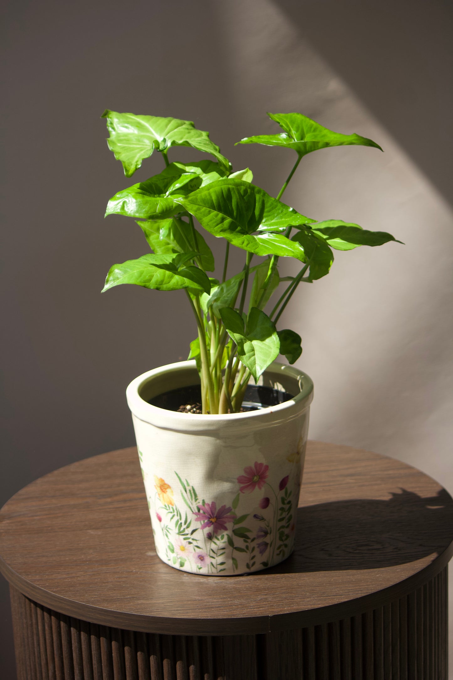 Cache-pot en céramique - Vintage fleuries - 6 pouces
