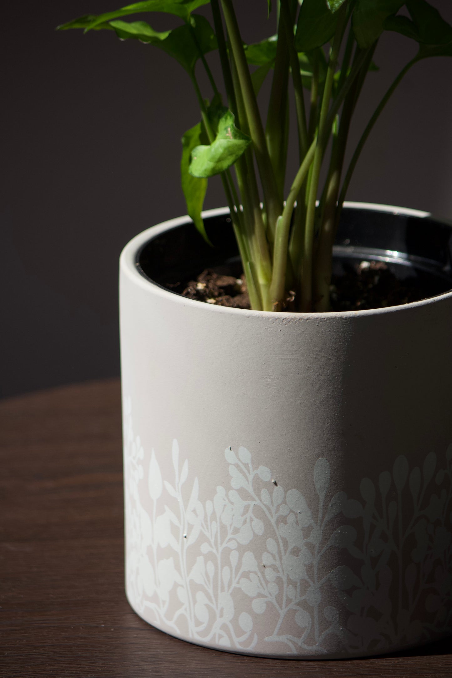 Cache-pot en céramique - fleurs grises - 6 pouces