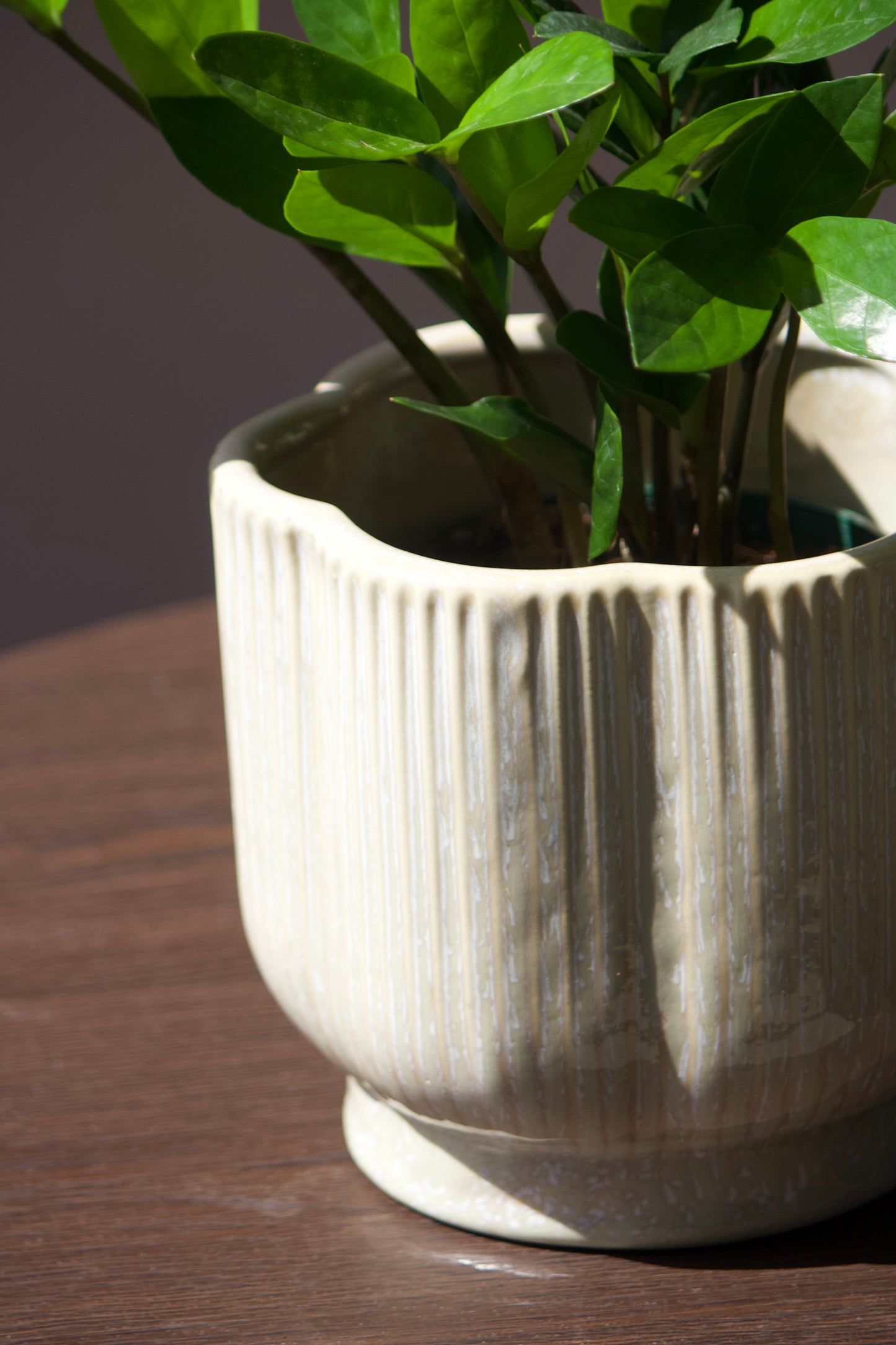 Cache-pot en céramique - Fleurs Taupes - 6 pouces