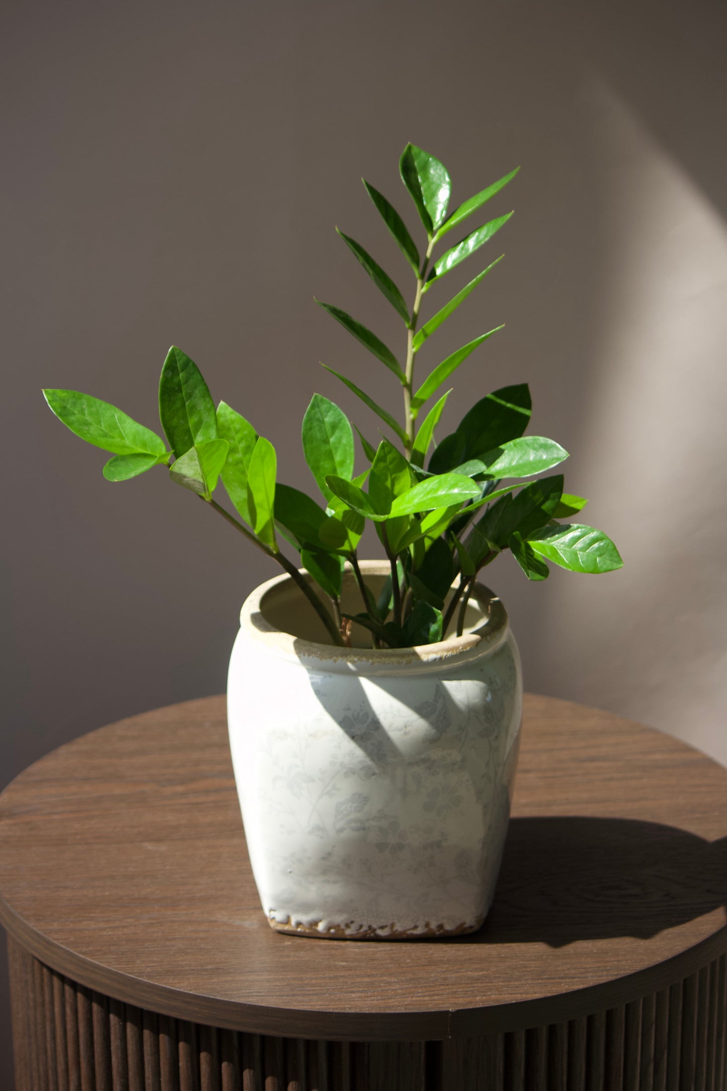 Cache-pot en céramique - Cruche avec fleurs - 5 pouces