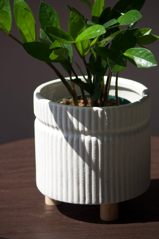 Cache-pot en céramique - blanc avec petites pattes - 6 pouces