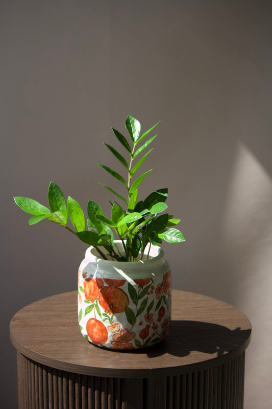 Cache-pot en céramique - Tangerine - 5,5 pouces