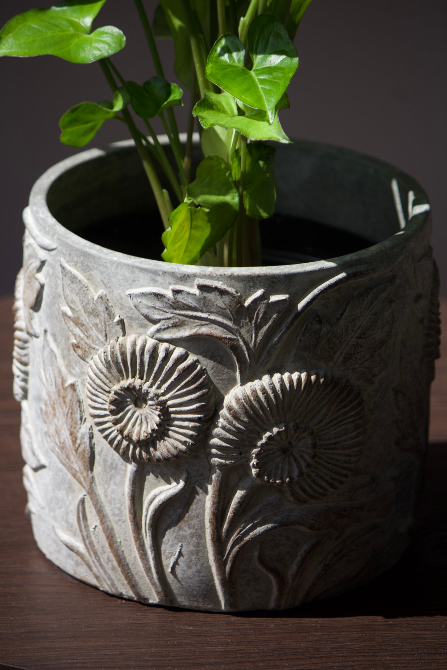 Cache-pot en céramique - Ocre - 6 pouces
