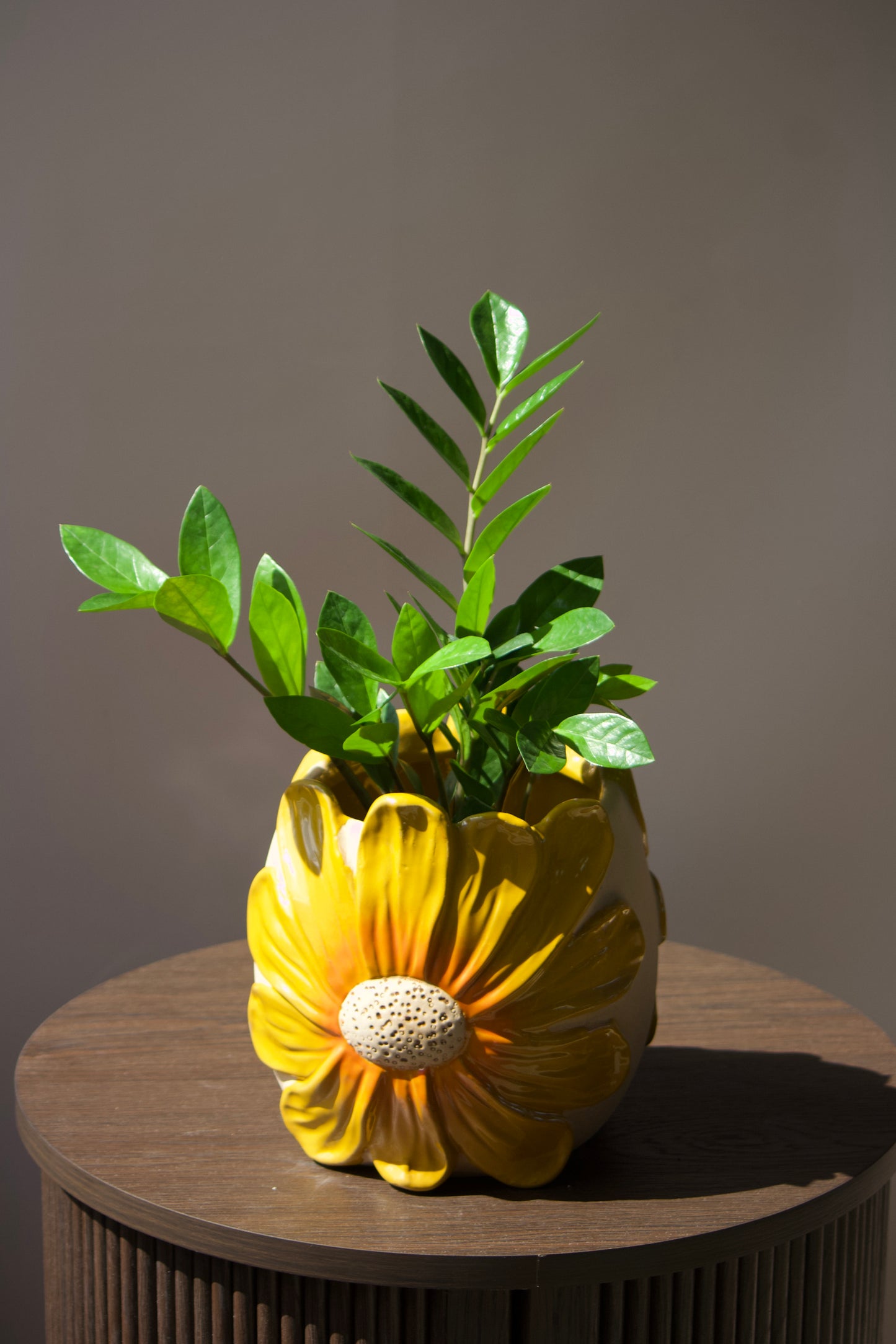Cache-pot en céramique - Gerbera - 5 pouces