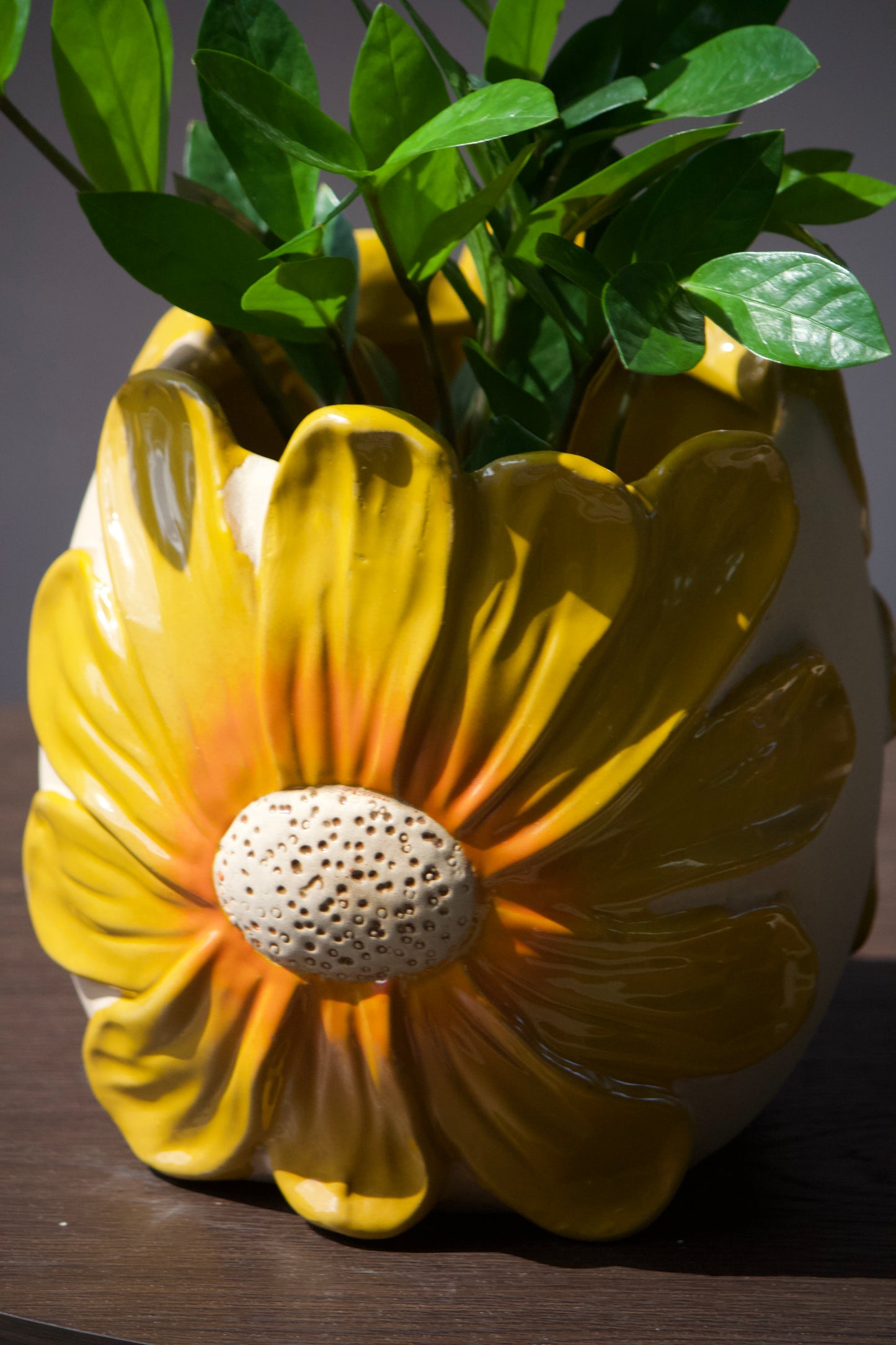 Cache-pot en céramique - Gerbera - 5 pouces