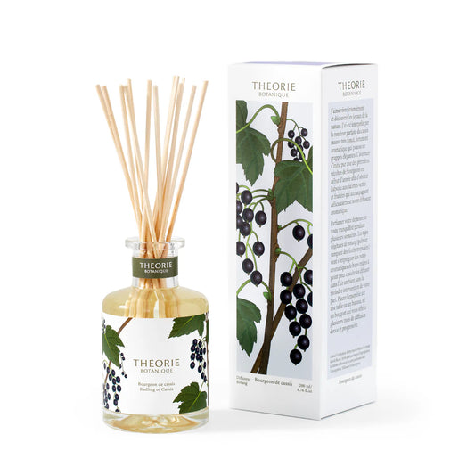 Diffuseur Rotang - Bourgeon de Cassis