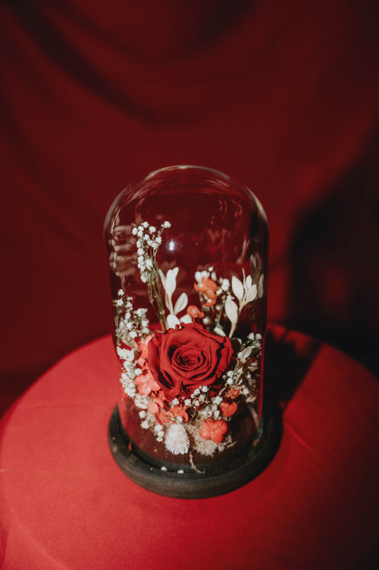 Rose éternelle rouge - Choix du fleuriste