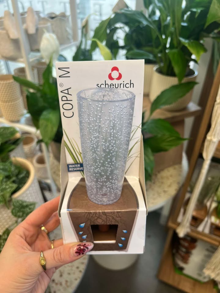 Copa - Réservoir d'Eau pour Plantes